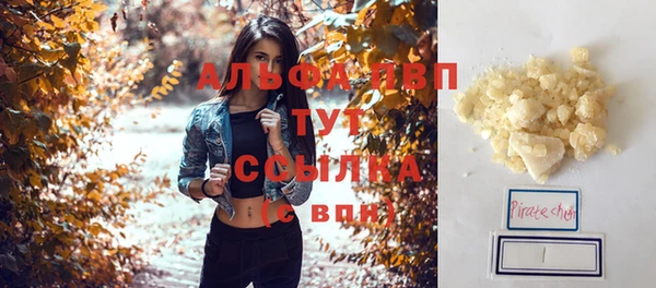 2c-b Горно-Алтайск