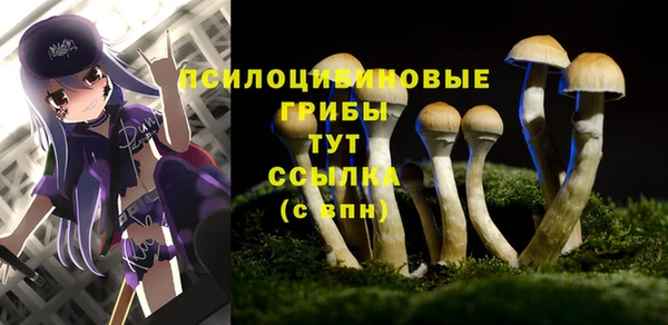 2c-b Горно-Алтайск