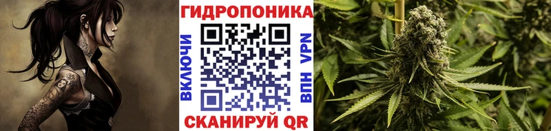 хочу   Демидов  Шишки марихуана план 